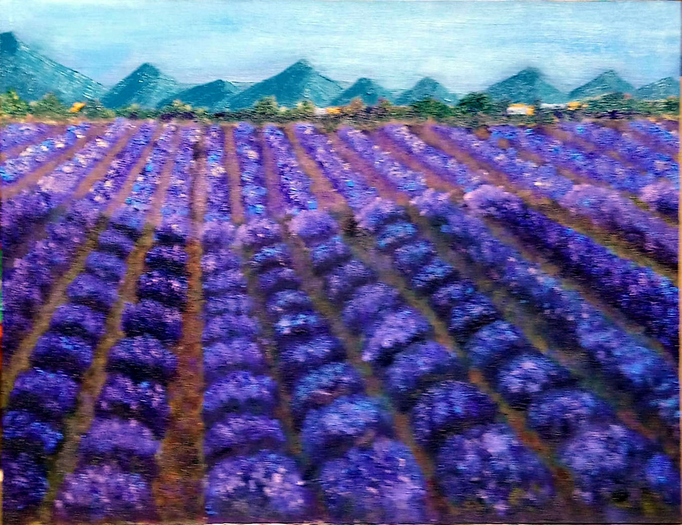 Lavender Horizons
