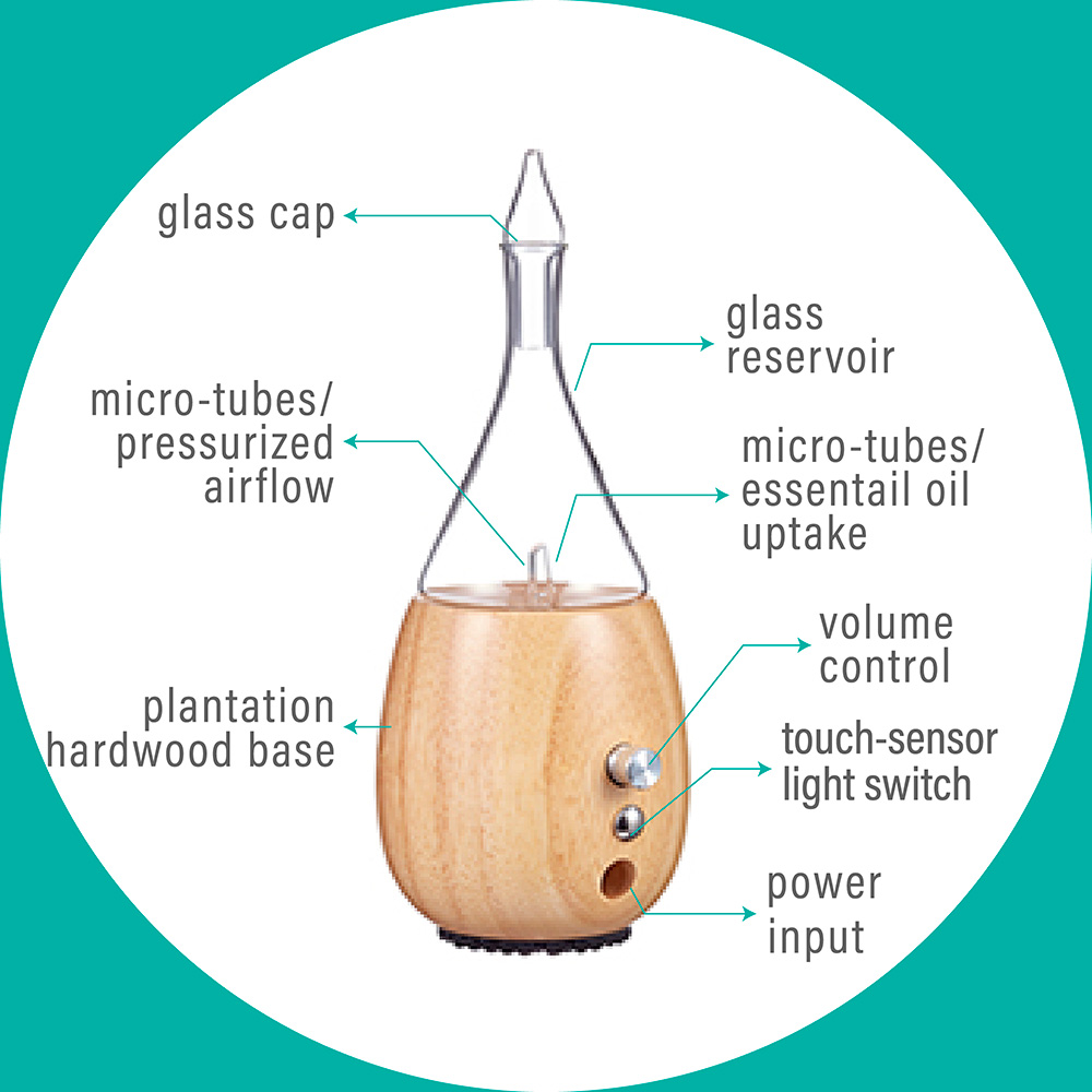 Amazon Product Image Set 06