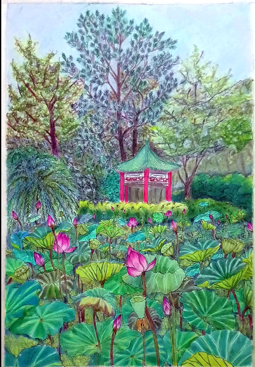 Summer Lotus Field – Taipei Botanical Garden