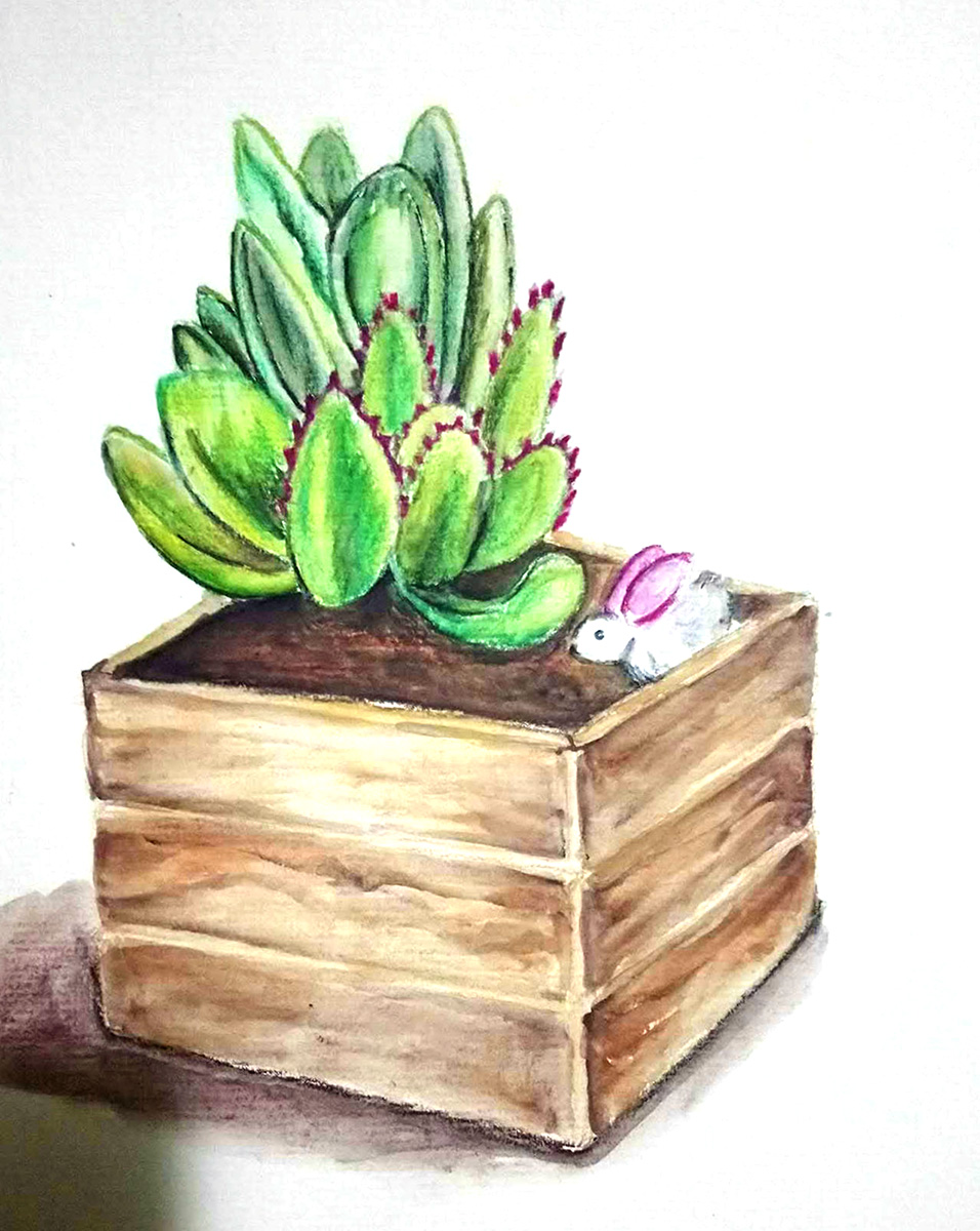 Growth – Succulent