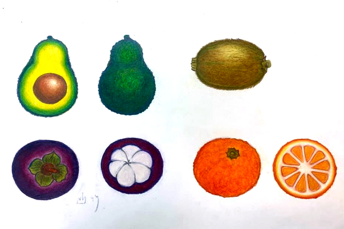 Fruits – Color Study