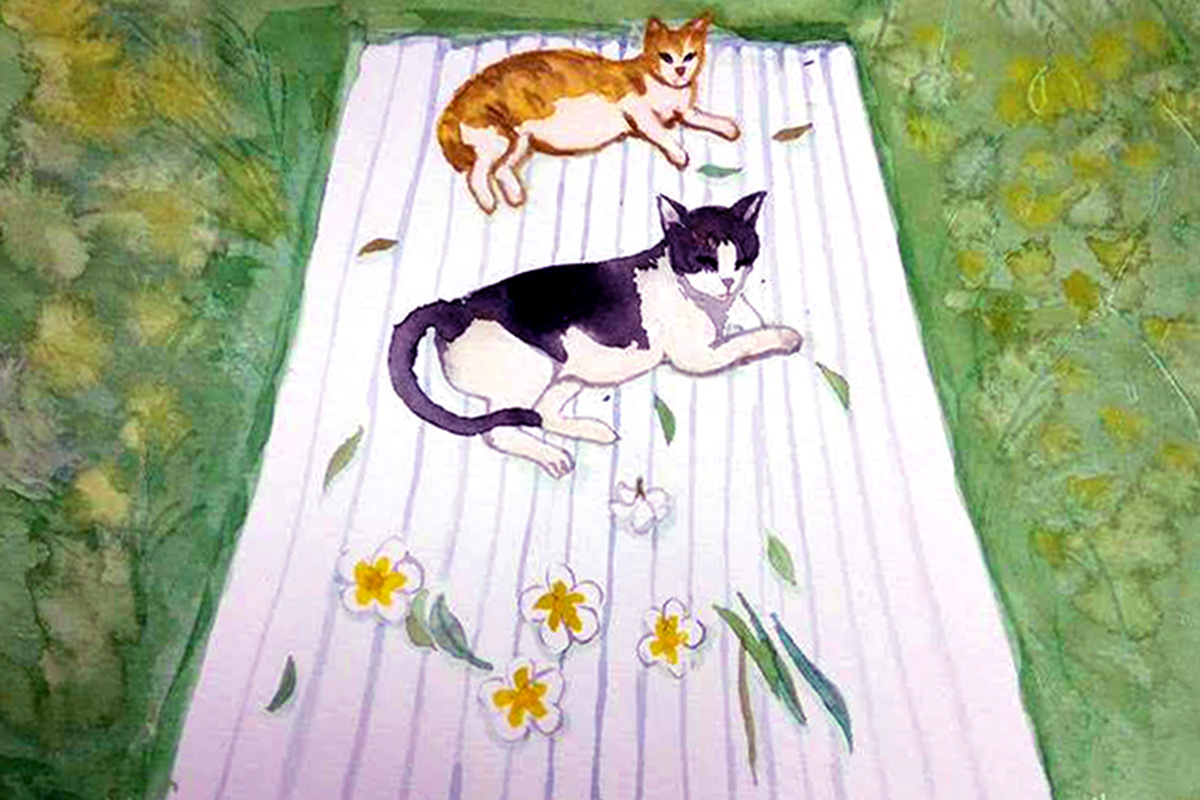 Afternoon Nap – Back to Joy 3