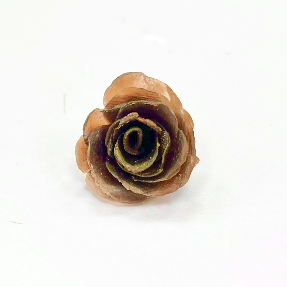 wax-rose